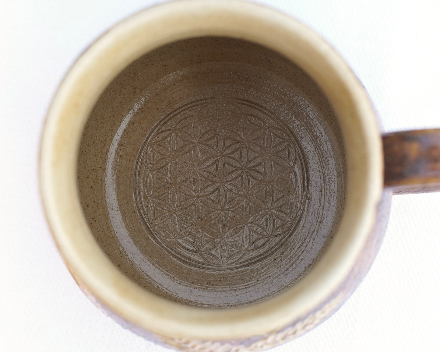 Tasse Farn mit Heilerde