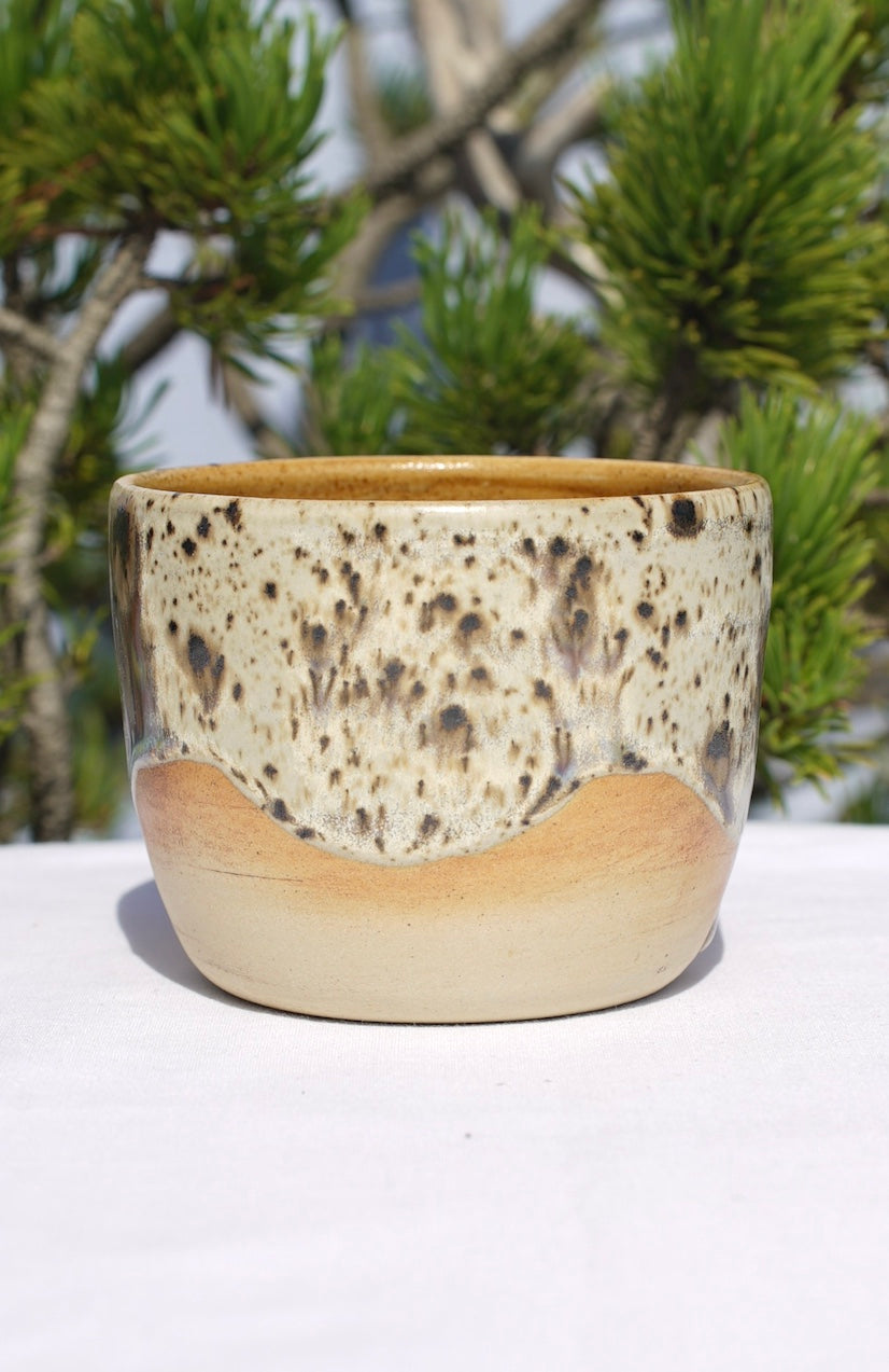 Mug cocoa ceremony with torus 24 carat gold