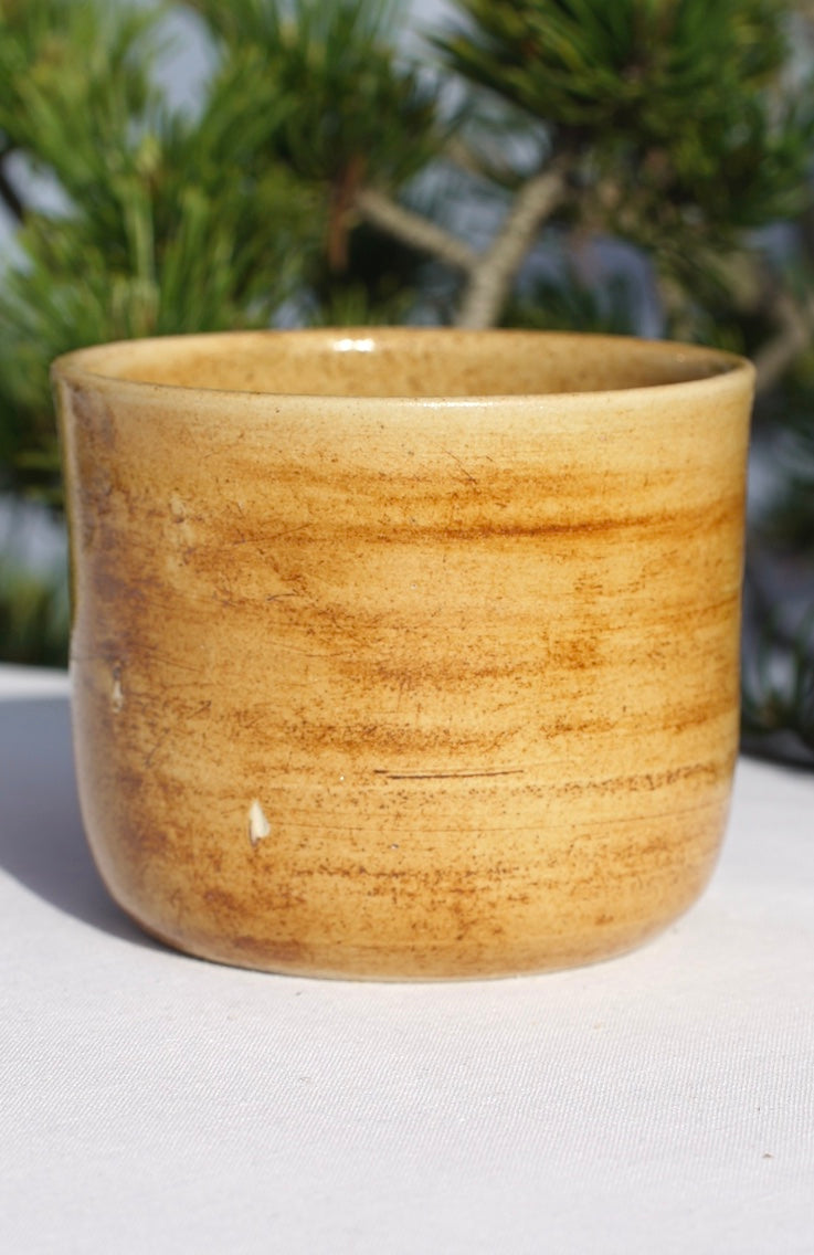 Flower of life mug
