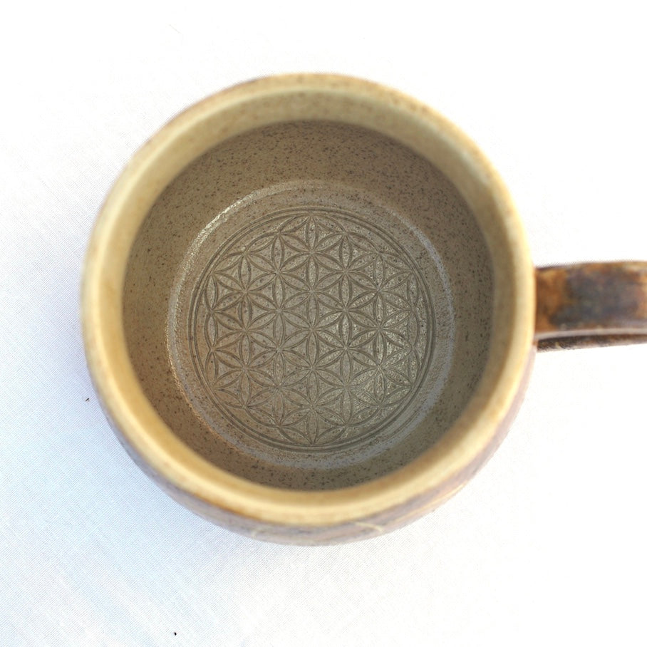 Cup of Venus flower with healing clay