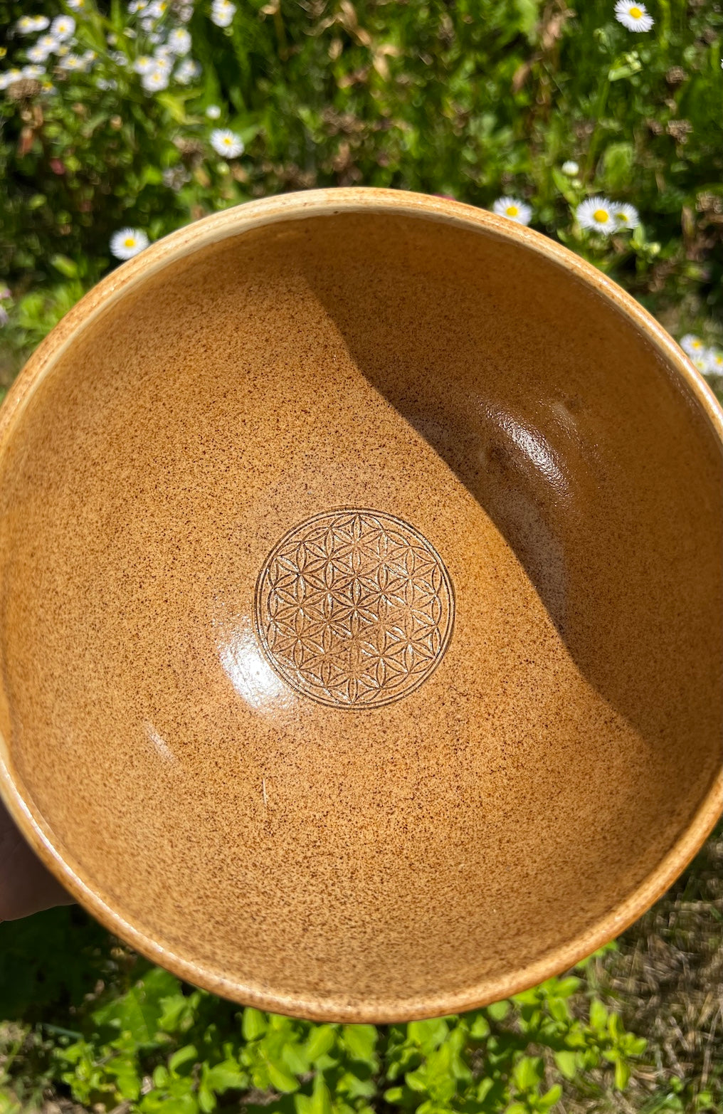 Schale Schmetterling 24 Karat Gold