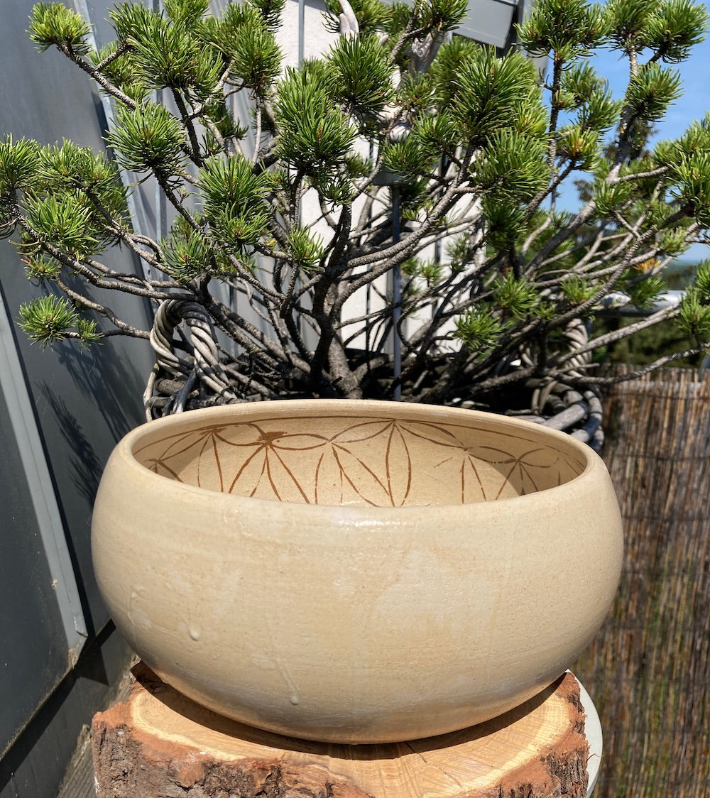 große Schale Blume des Lebens