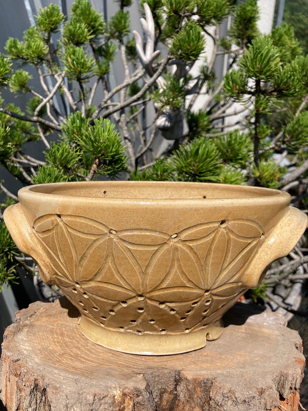 Sieb Blume des Lebens - Sieve flower of life