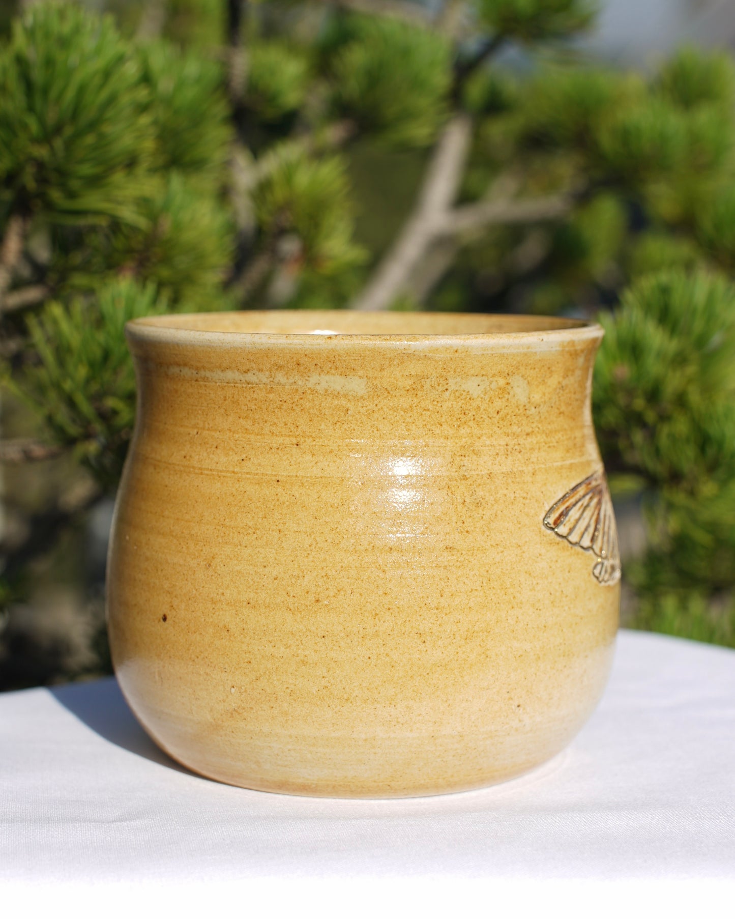 Tasse Kolibri mit Echtgold