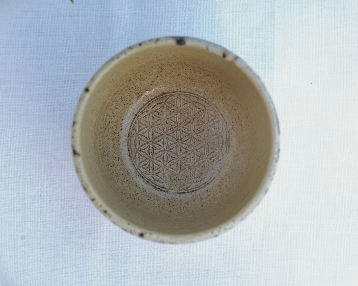 Mug light cocoa