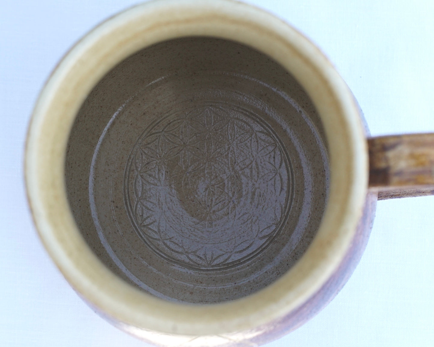 Cup of Venus flower with healing clay
