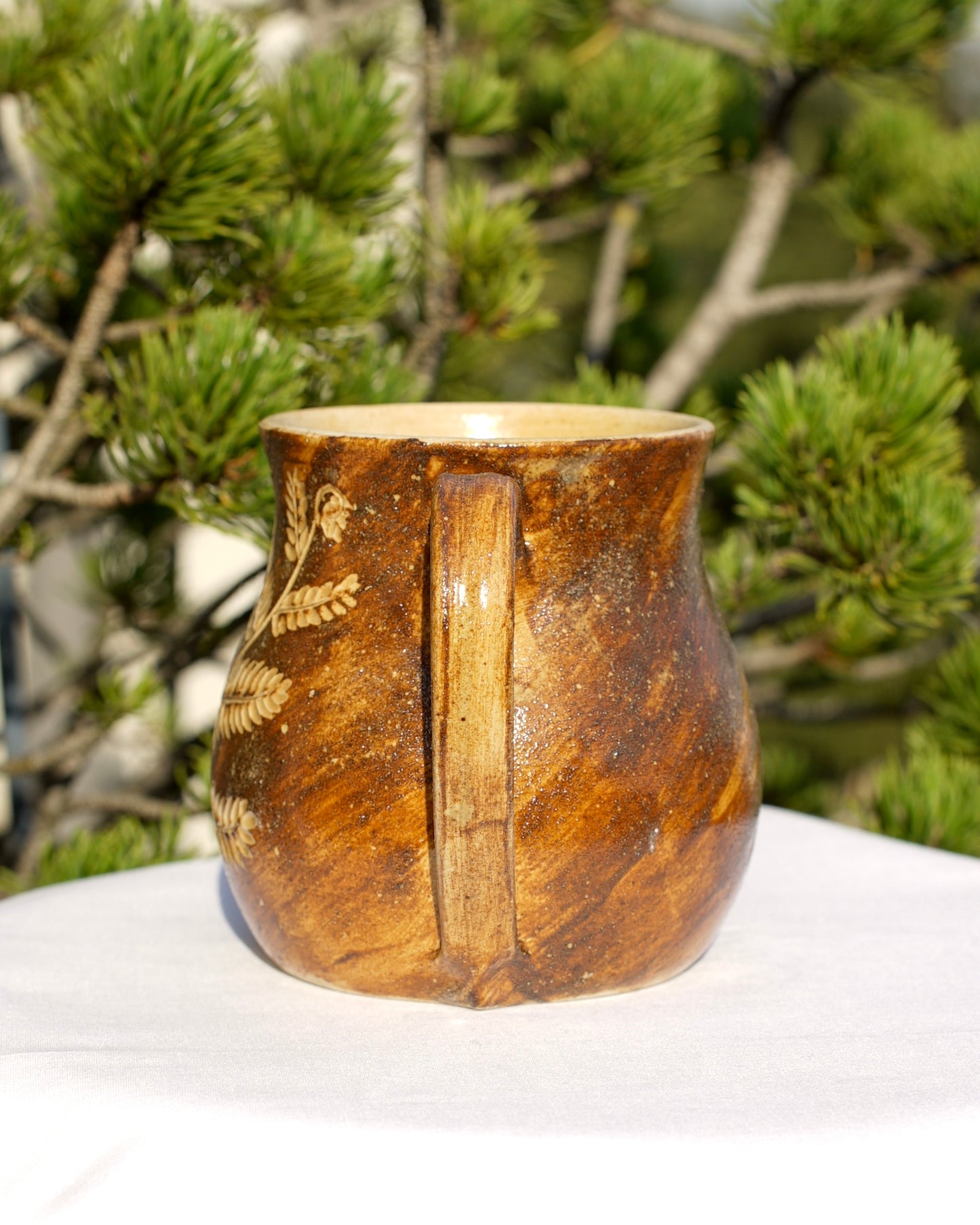 Tasse Farn mit Heilerde