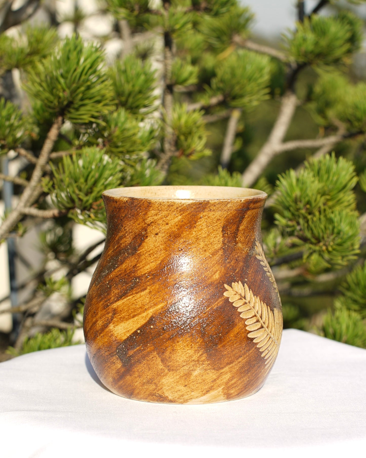 Tasse Farn mit Heilerde