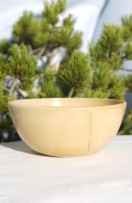 Müslischale XL