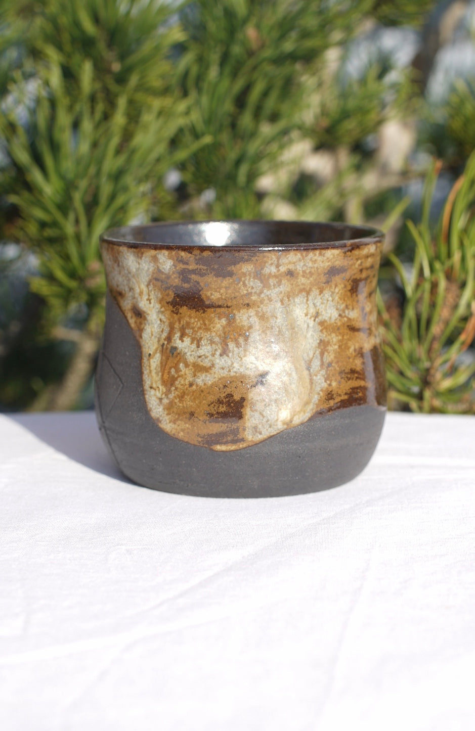 Mug of cocoa - Venus flower