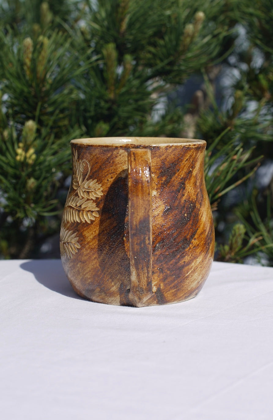 Cup of fern with healing clay