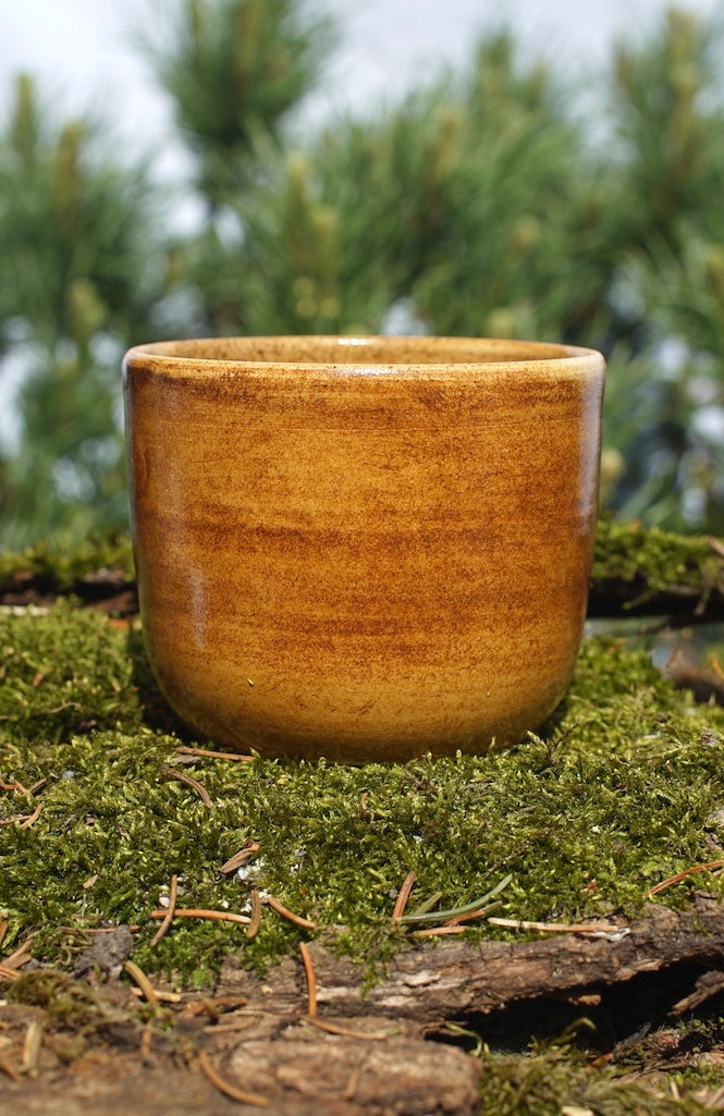 Becher Wunjo mit Birke in 24 Karat Gold